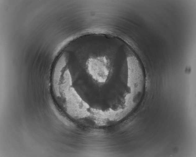 X0000112780438200909171339