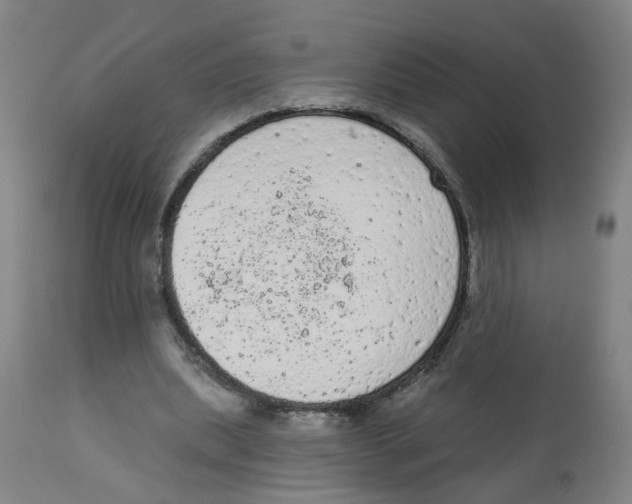 X0000112780439200909171339