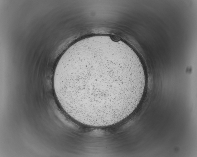 X0000112780441200909171339