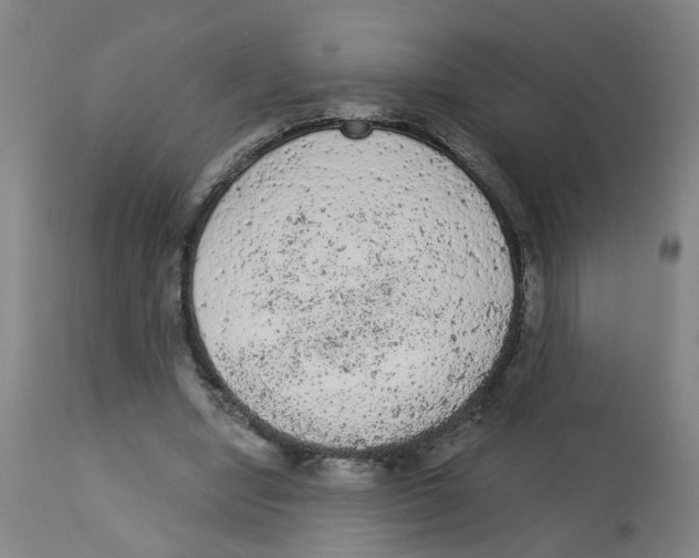 X0000112780442200909171340