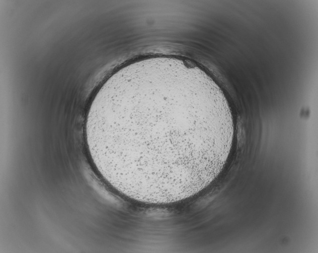 X0000112780445200909171340