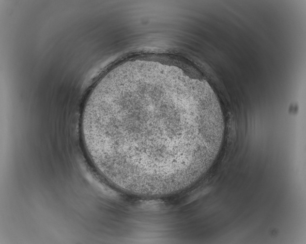 X0000112780446200909171340