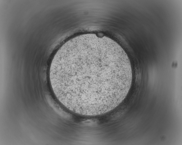 X0000112780447200909171340