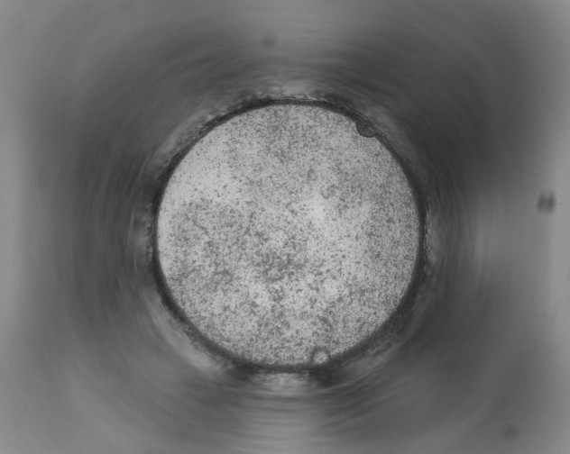 X0000112780449200909171340