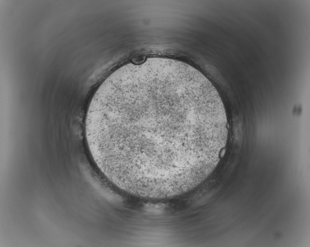 X0000112780450200909171340