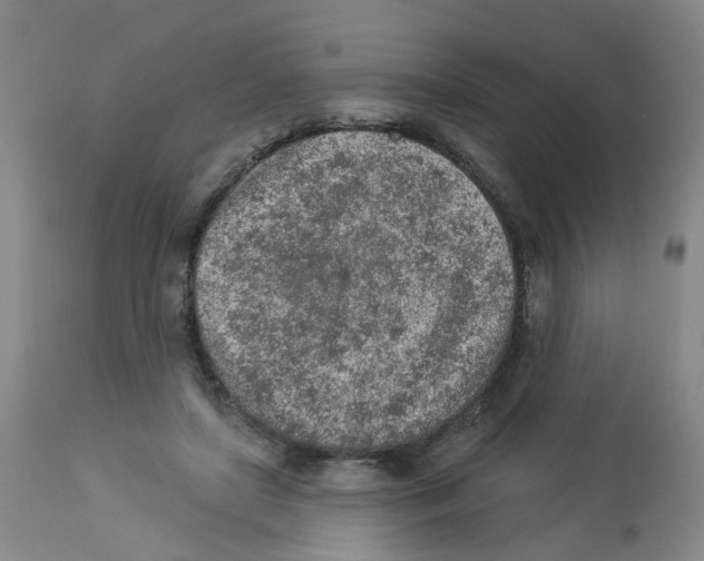 X0000112780451200909171340