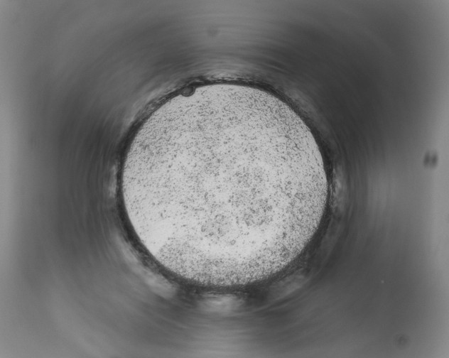 X0000112780454200909171340