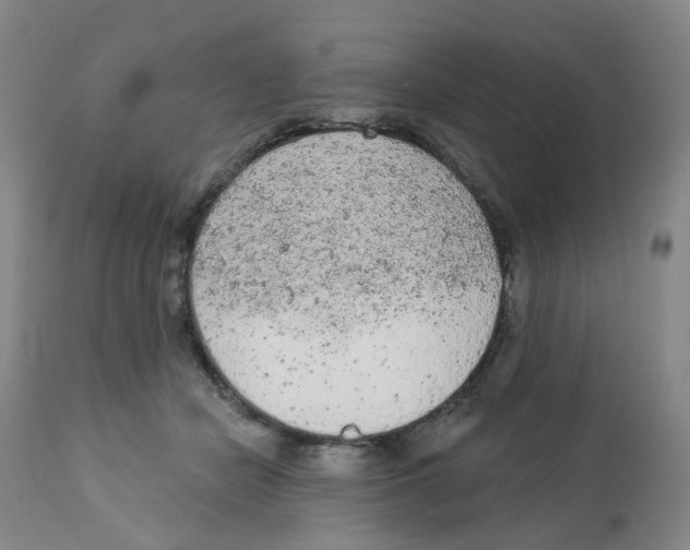 X0000112780462200909171340