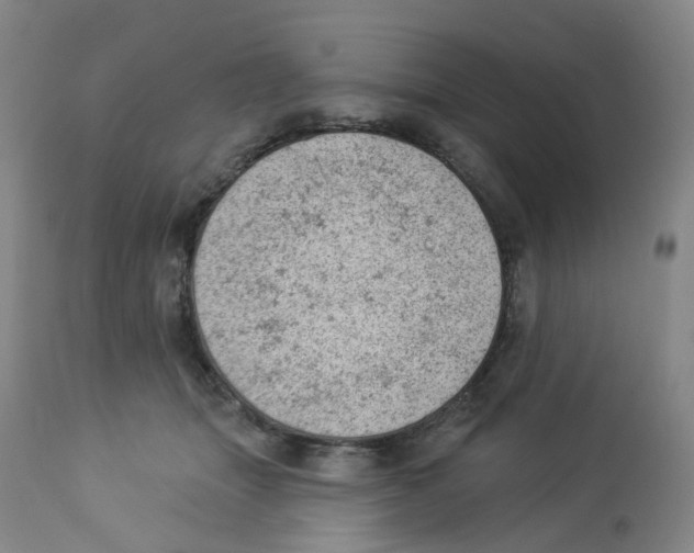 X0000112780463200909171340