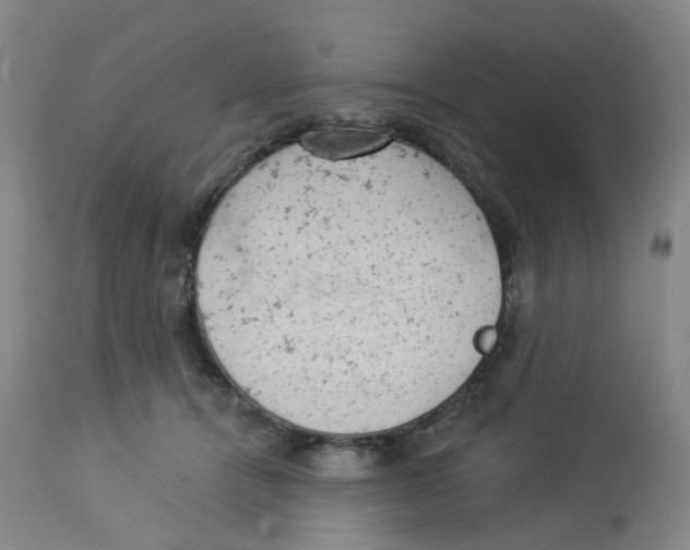 X0000112780464200909171340