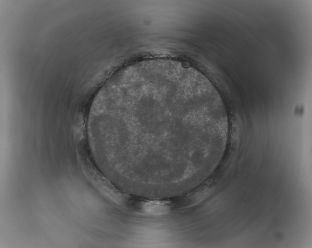 X0000112780465200909171340