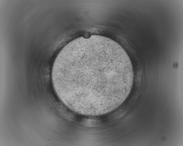 X0000112780466200909171340