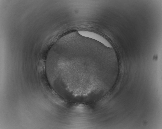 X0000112780467200909171340