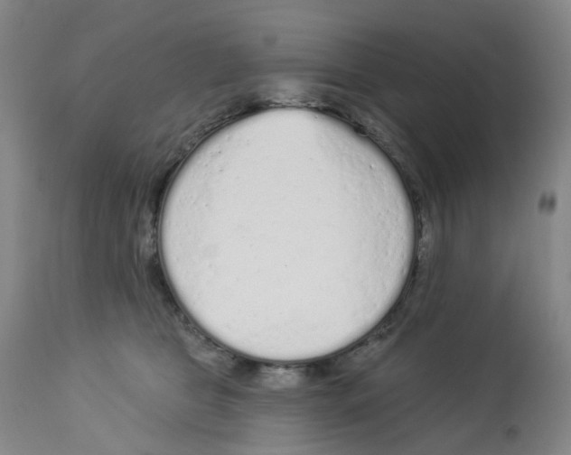 X0000112780469200909171340