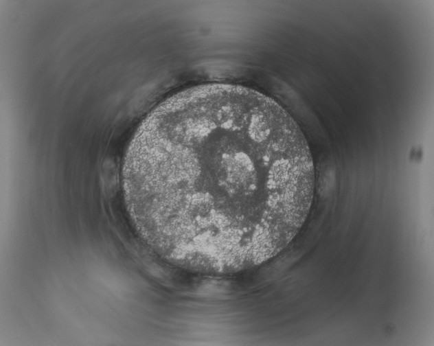 X0000112780471200909171340