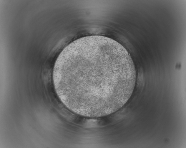 X0000112780473200909171340