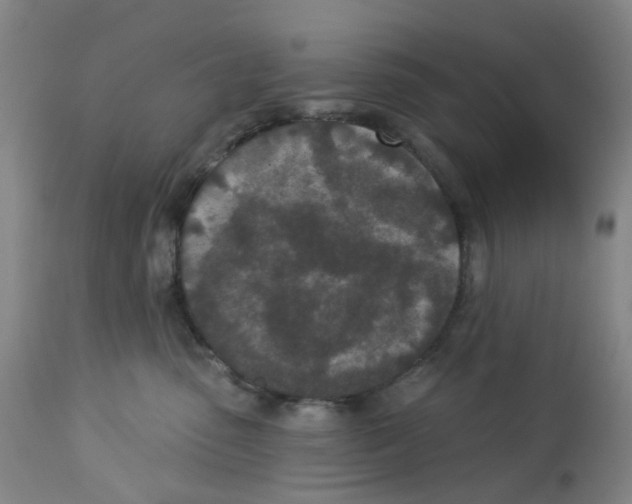 X0000112780475200909171340