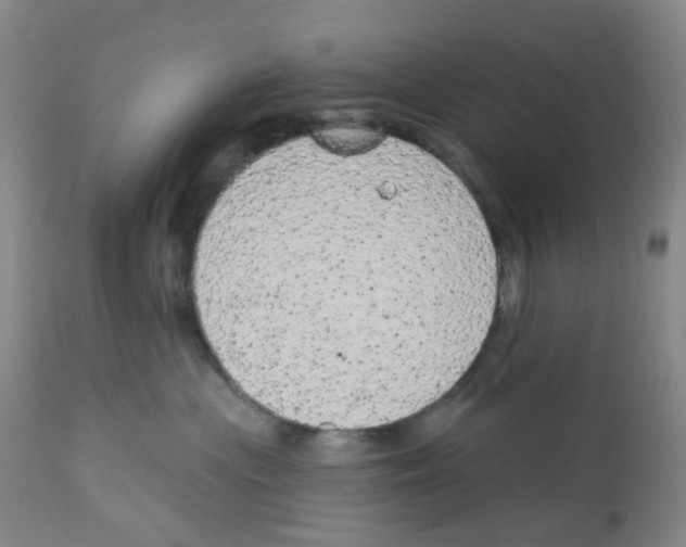 X0000112780477200909171340