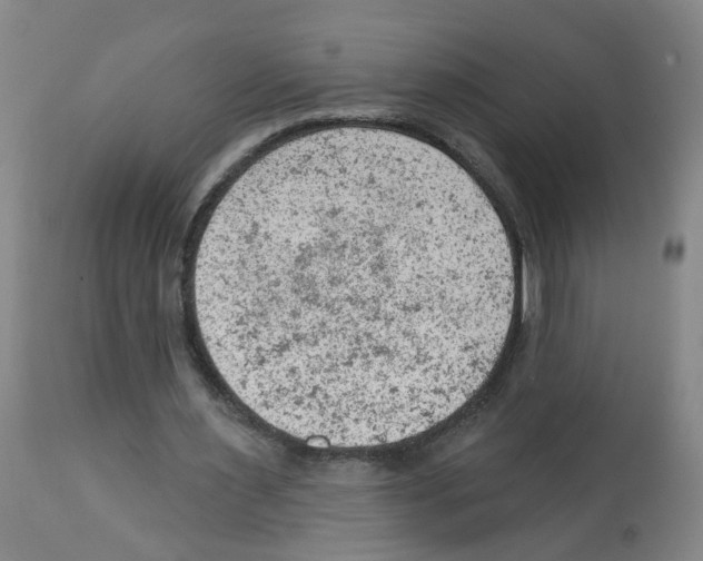 X0000112780483200909171339