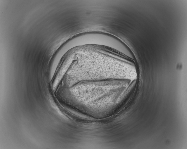 X0000112780485200909171339