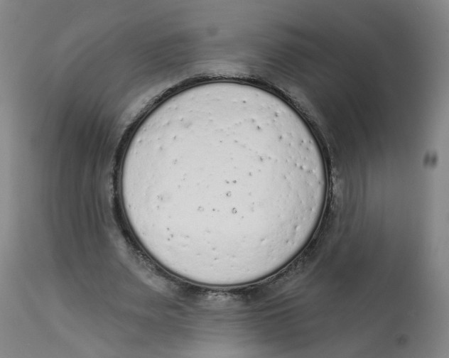 X0000112780487200909171339