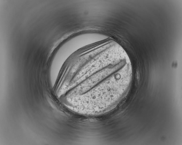 X0000112780492200909171339