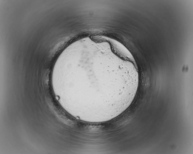 X0000112780495200909171339