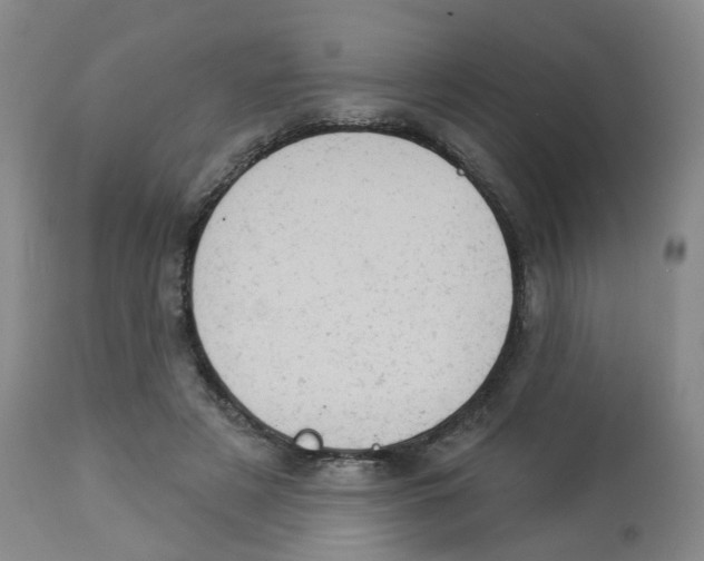 X0000112780497200909171339