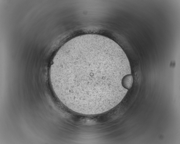 X0000112780498200909171339