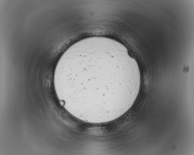 X0000112780499200909171339