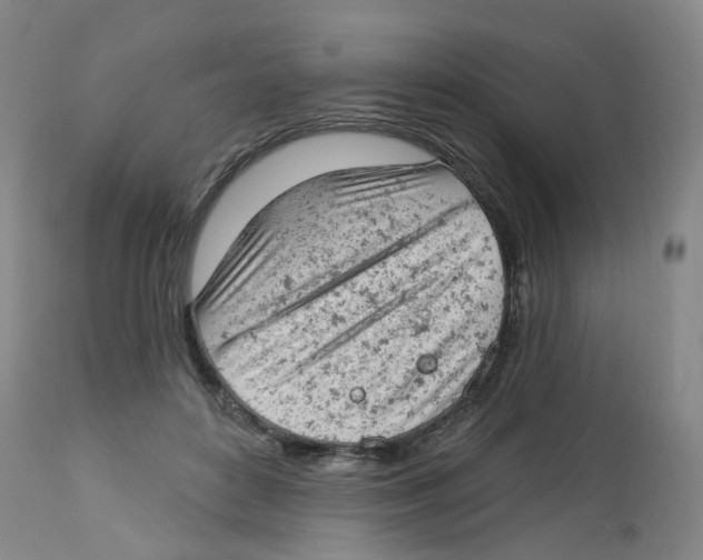 X0000112780504200909171339