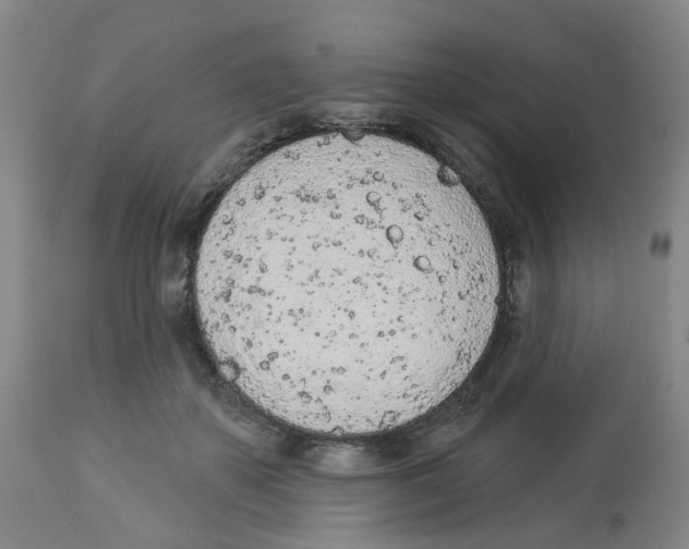 X0000112780507200909171339