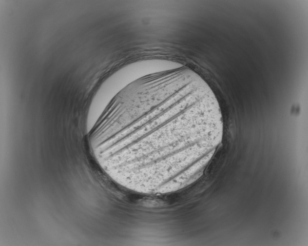 X0000112780512200909171339