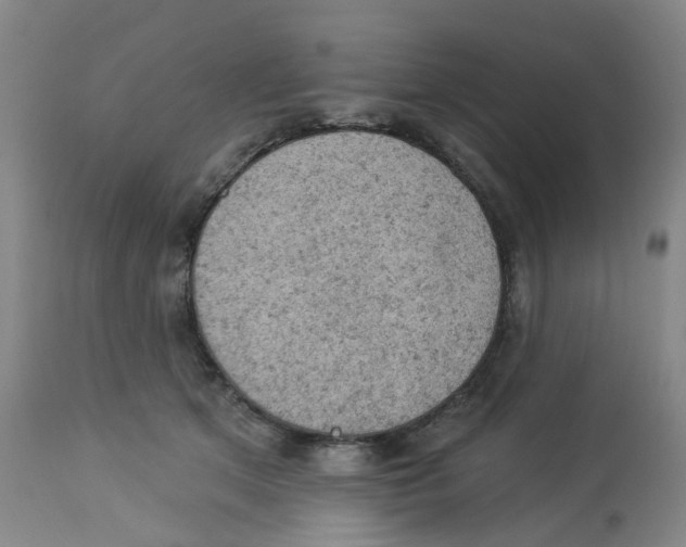 X0000112780513200909171339