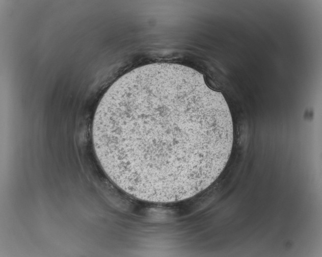 X0000112780515200909171339