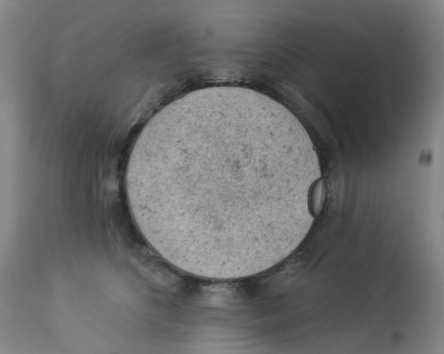 X0000112780516200909171339