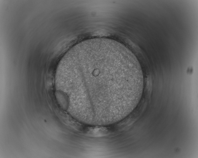 X0000112780517200909171339