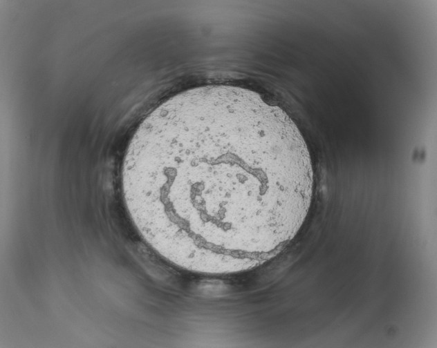 X0000112780519200909171339