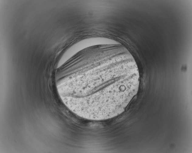 X0000112780520200909171339