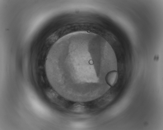 X0000112780526200909171339