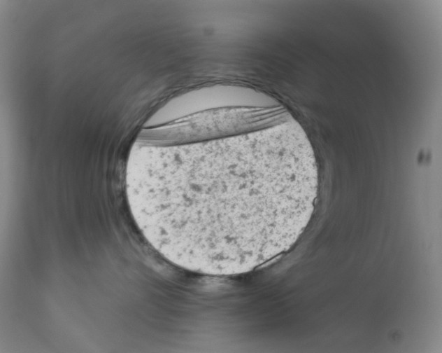 X0000112780528200909171339