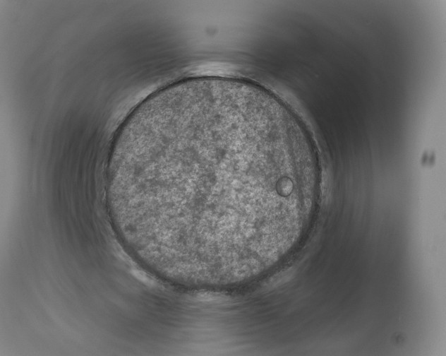 X0000112780529200909171338