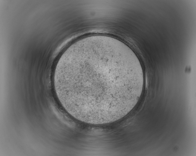 X0000112780531200909171338