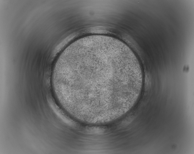 X0000112780533200909171338