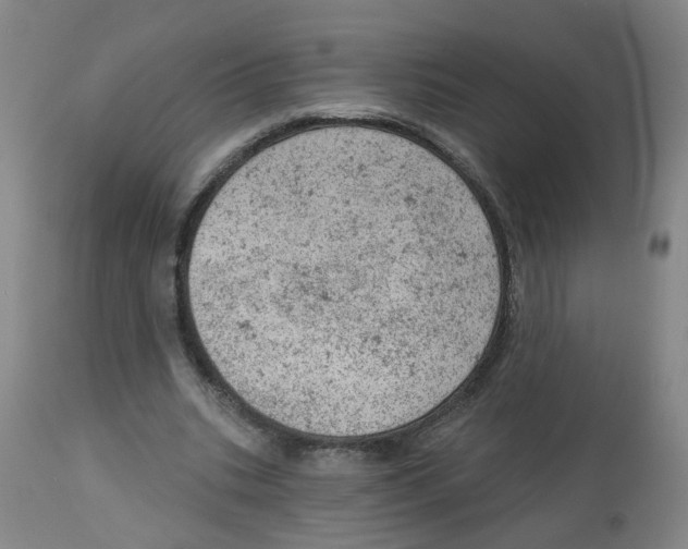 X0000112780535200909171338