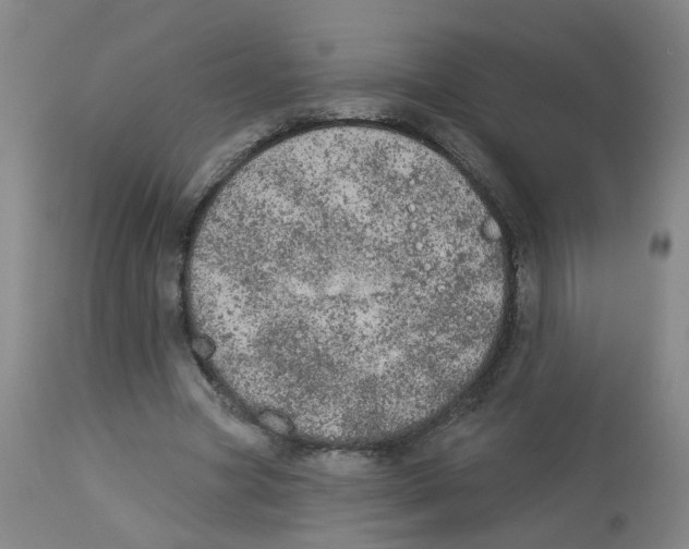 X0000112780537200909171338