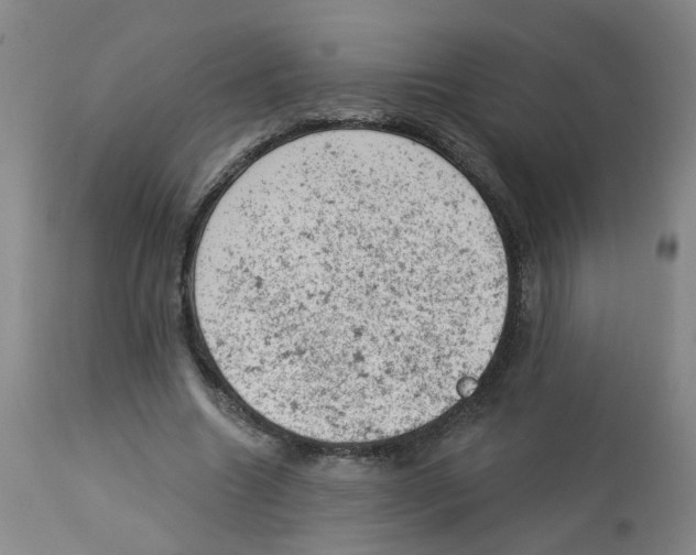 X0000112780538200909171338