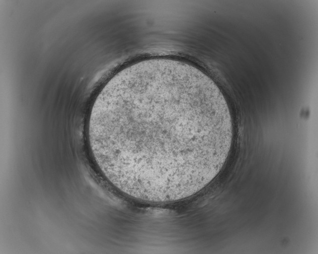 X0000112780539200909171338