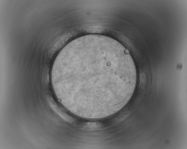 X0000112780541200909171338