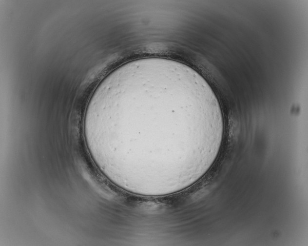 X0000112780542200909171338